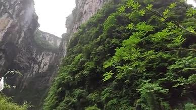 旅行视频高山流水岩石森林树林视频的预览图